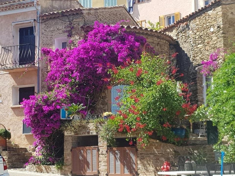 Maison De Vacances Medievale Bormes-Les-Mimosas Village Exterior photo