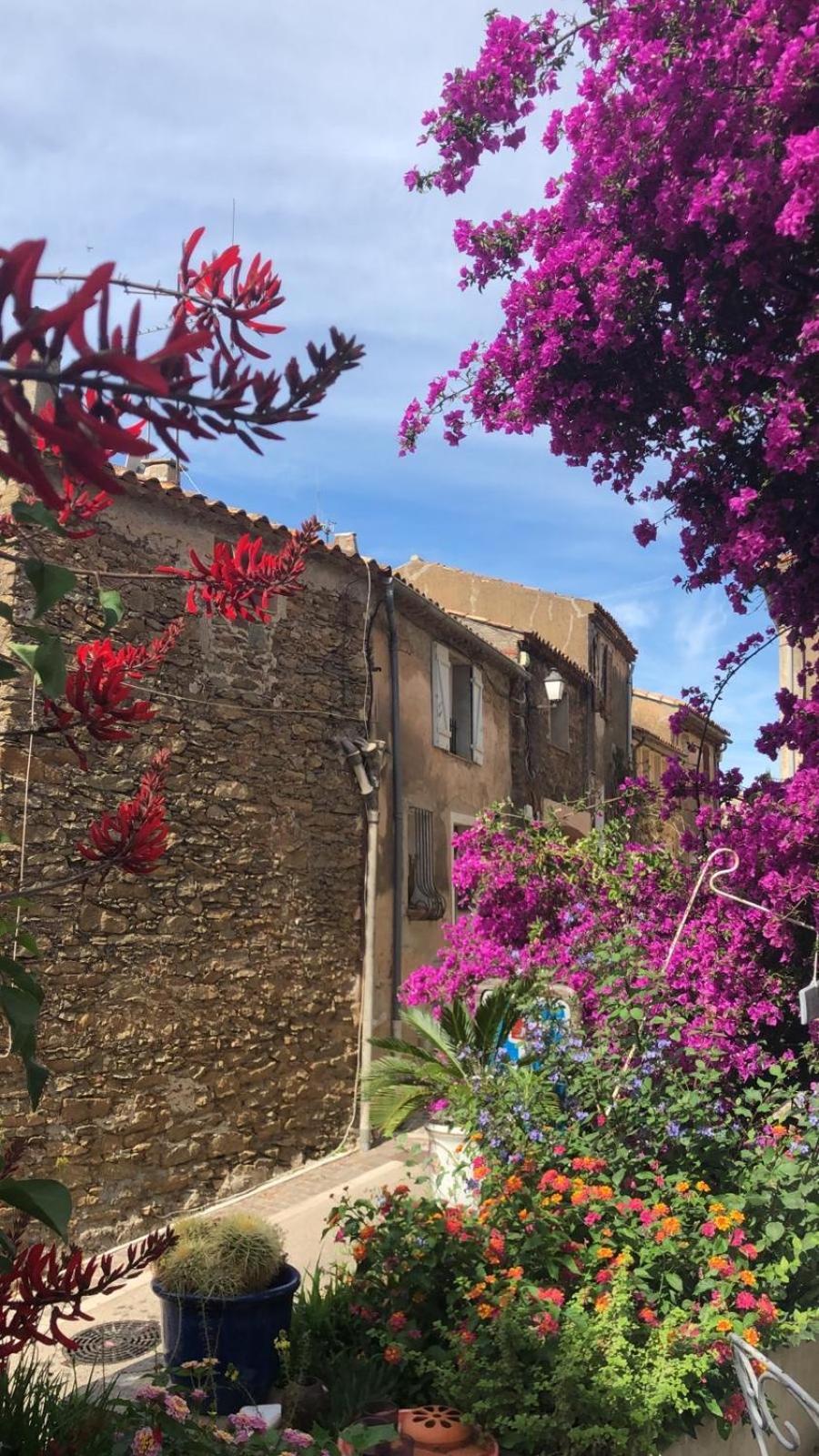 Maison De Vacances Medievale Bormes-Les-Mimosas Village Exterior photo
